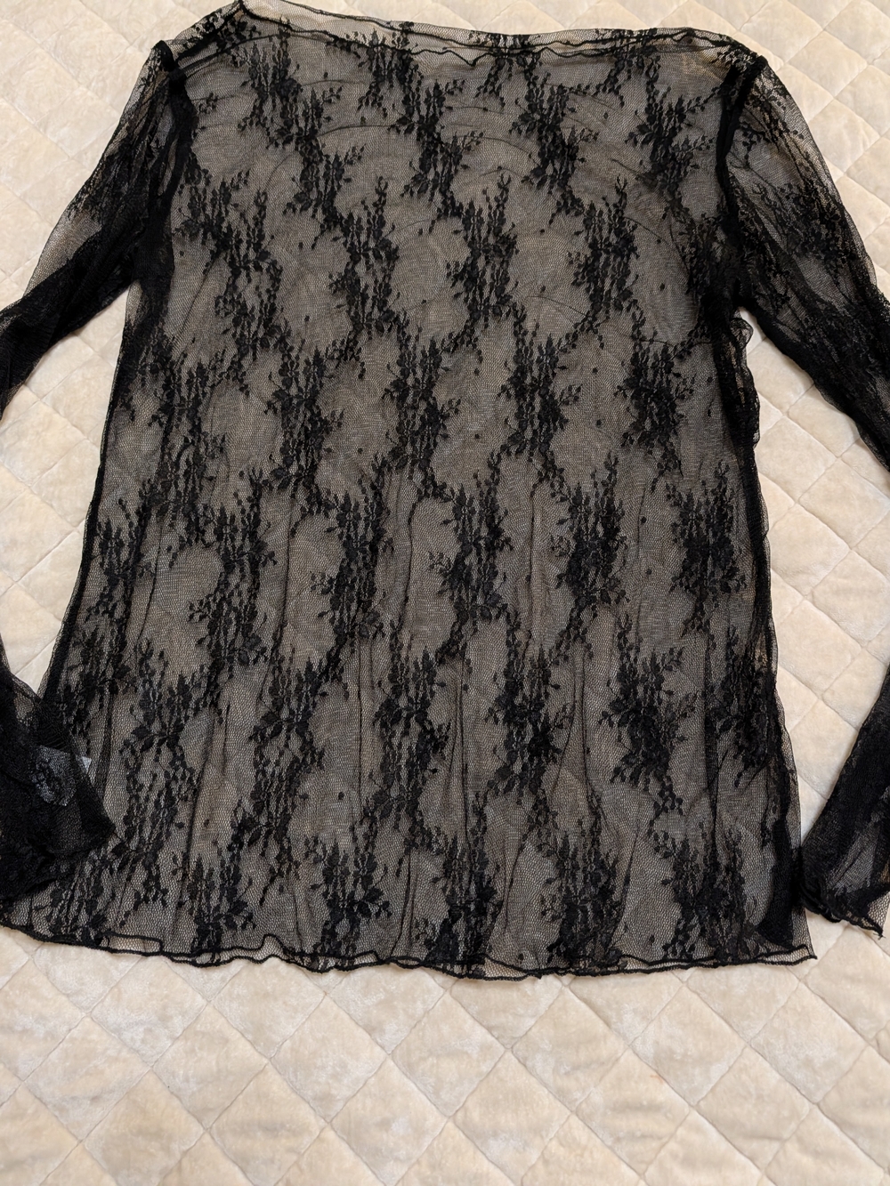 Sheer Black Lace Long-Sleeve Top - Brand Unlabeled